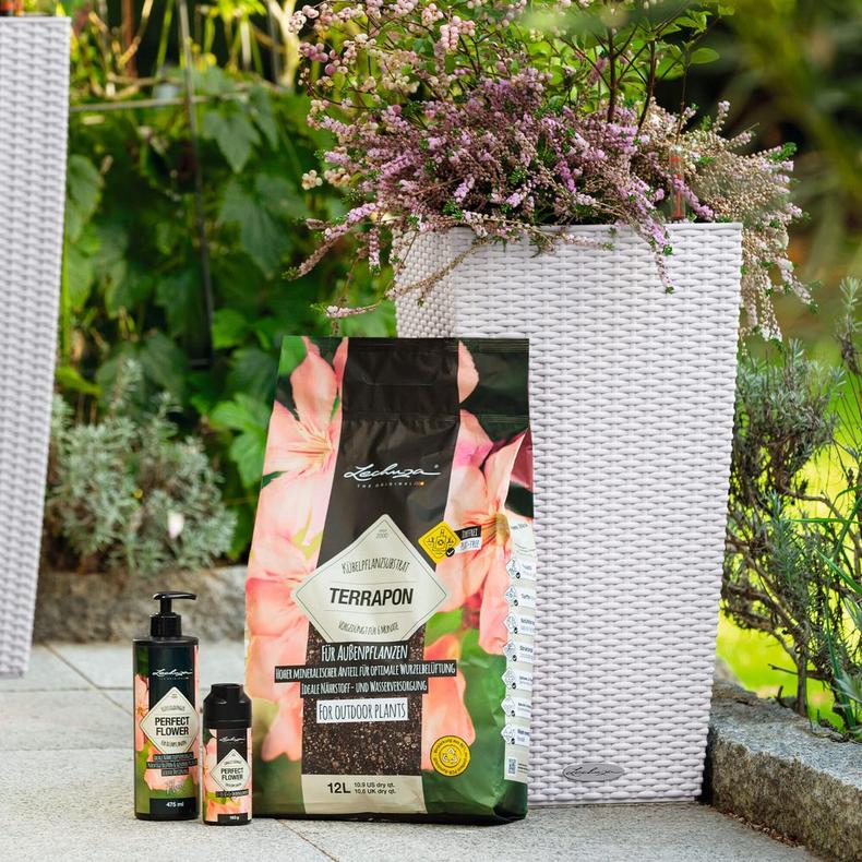 le_perfect-flower_product_addi_01